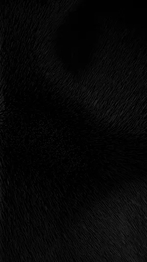 Matte Black Texture Wallpaper