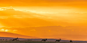 Mauritania Orange Sky Wallpaper
