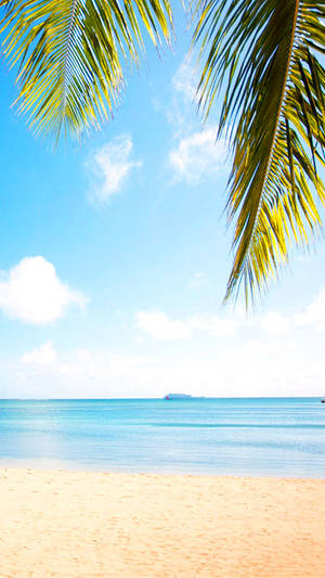 Mauritius Beach View Wallpaper