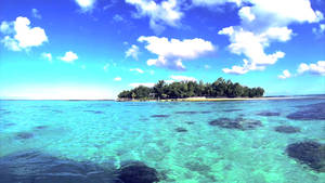 Mauritius Clear Ocean Wallpaper