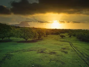 Mauritius Grassland On A Sunset Wallpaper