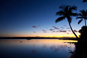 Mauritius Island Beach Wallpaper