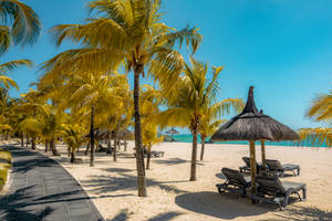 Mauritius Island Beach Wallpaper