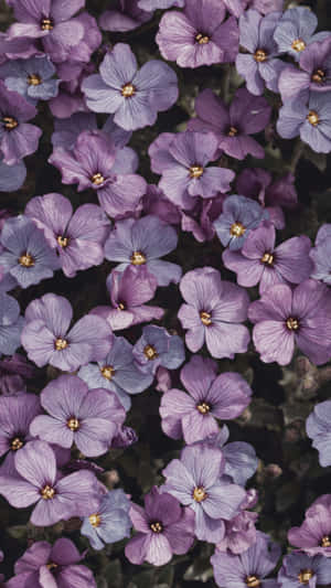 Mauve Floral Backdrop Wallpaper