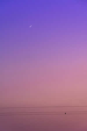 Mauve Skyline Crescent Moon Wallpaper