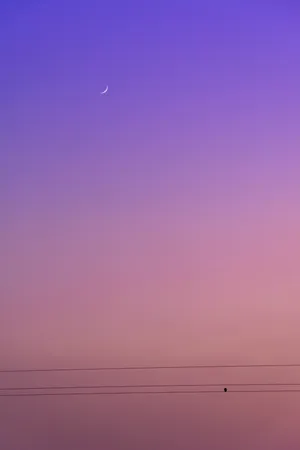 Mauve Skyline Crescent Moon Wallpaper