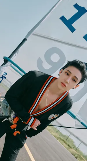 Maxident Stylish Outdoor Look Wallpaper