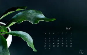 May 2022 - Time To Plan And Organize Wallpaper