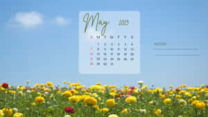 May 2023 Calendar Wallpaper