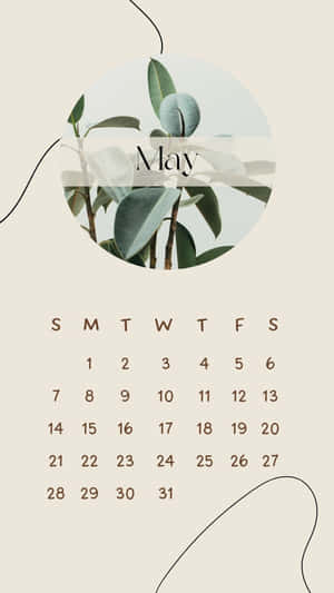 May Calendar Aestheticwith Plants Wallpaper