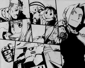 May Chang Surrounded By A Mystical Forest Wallpaper