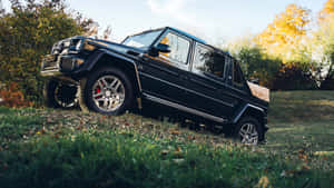 Maybach G650 Landaulet Autumn Backdrop Wallpaper