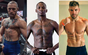 Mcgregor Adesanya And Dricus Du Plessis Wallpaper