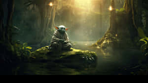 Meditative Yodaon Dagobah Wallpaper
