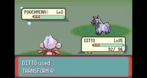 Meditite And Poochyena Wallpaper