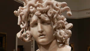 Medusa Sculpture Close Up Wallpaper