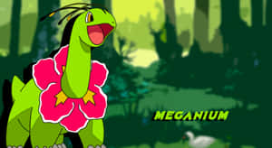 Meganium Cute 2d Illustration With Label Wallpaper