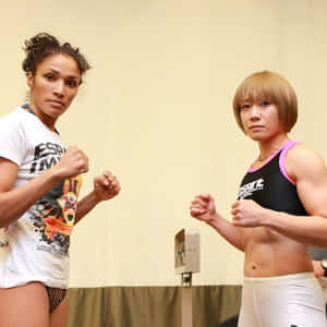 Megumi Fujii - A Legend In Women's Mma Wallpaper