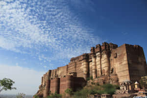 Mehrangarh Fort Castle Walls Wallpaper