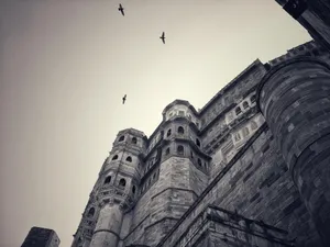 Mehrangarh Fort Monochrome Birds Flying Wallpaper