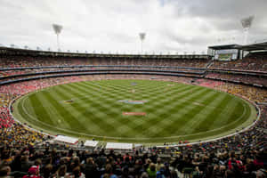 Melbourne Cricket Ground Match Day Wallpaper