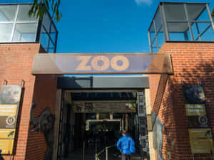 Melbourne Zoo Entrance Signage Wallpaper