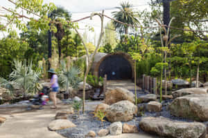 Melbourne Zoo Garden Pathway Wallpaper