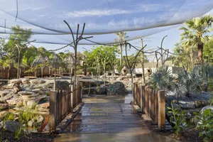 Melbourne Zoo Lemur Island Exhibit Wallpaper