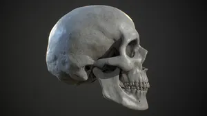 Menacing 3d Skull With Glowing Eyes Wallpaper
