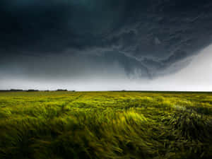 Menacing Dark Storm Brewing Over A Lone Tree Wallpaper