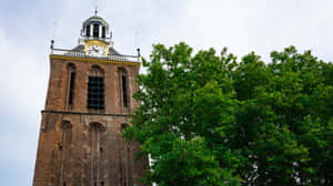 Meppel Historical Church Tower Wallpaper