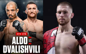 Merab Dvalishvili Jose Aldo Jack Shore Wallpaper