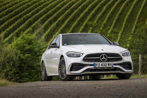 Mercedes Benz C Class In Vineyard Wallpaper