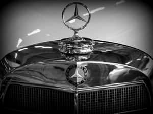 Mercedes Benz Hood Ornament Wallpaper