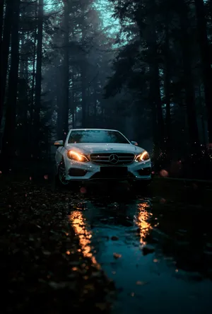 Mercedes Benzin Mystic Forest Wallpaper