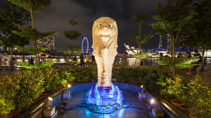 Merlion Park Singapore Night View Wallpaper