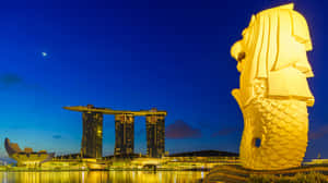 Merlion Park Singapore Night View Wallpaper