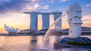 Merlion Park Singapore Sunset Wallpaper