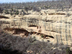 Mesa Verde National Park Wallpaper