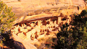 Mesa Verde National Park Cliff Palace Wallpaper