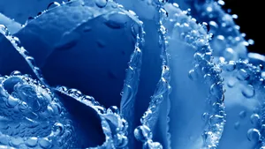 Mesmerizing 3d Water Petal Artwork Wallpaper