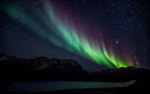 Mesmerizing Aurora Borealis Dancing In The Night Sky Wallpaper