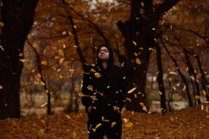 Mesmerizing Autumn Display In Paghman Park, Kabul Wallpaper