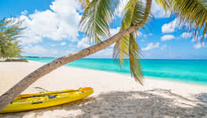 Mesmerizing Caribbean Island Wallpaper