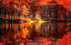 Mesmerizing Fall River Scenery Wallpaper