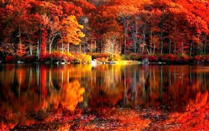 Mesmerizing Fall River Scenery Wallpaper