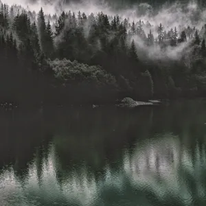 Mesmerizing Mood Of The Dark Nature Wallpaper