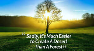 Mesmerizing Peak At Dawn Wallpaper