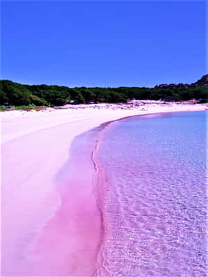 Mesmerizing Pink Beach - A Unique Tropical Paradise Wallpaper