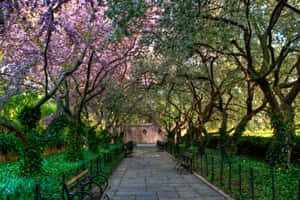 Mesmerizing Spring Day At Spring Park Wallpaper